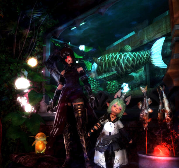 The Aquarium