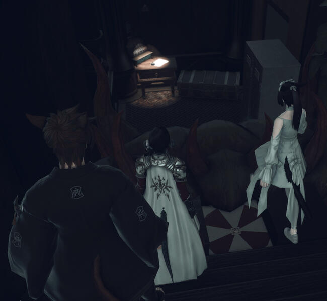 KANA Jumping Cat