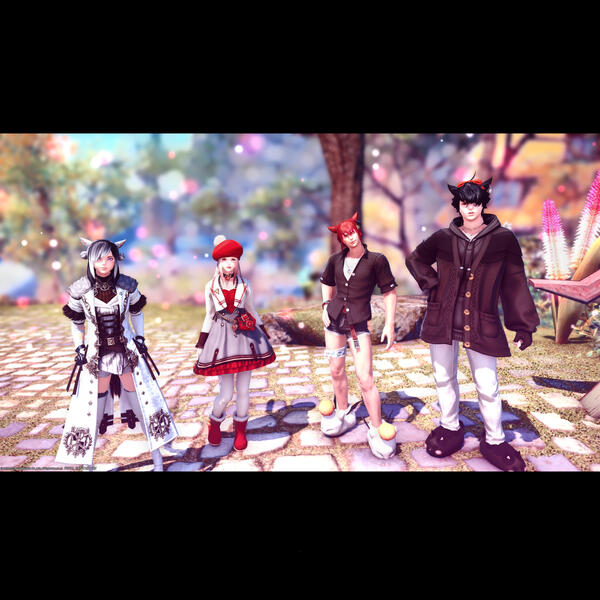 Halloween Kitties Team