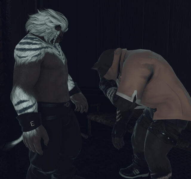 Jaid x Ivo