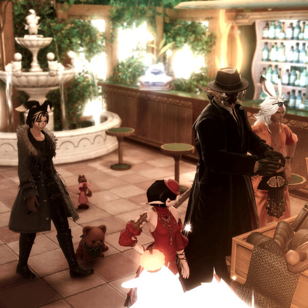 Anubis's Team