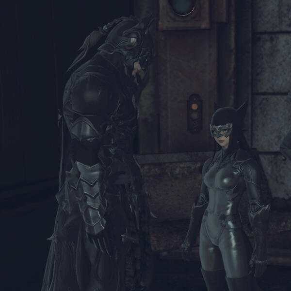 Batman & Catgirl